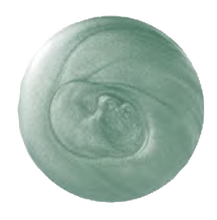 Load image into Gallery viewer, Nail Polish - Minty