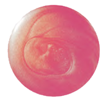 Load image into Gallery viewer, Nail Polish - The Amazing